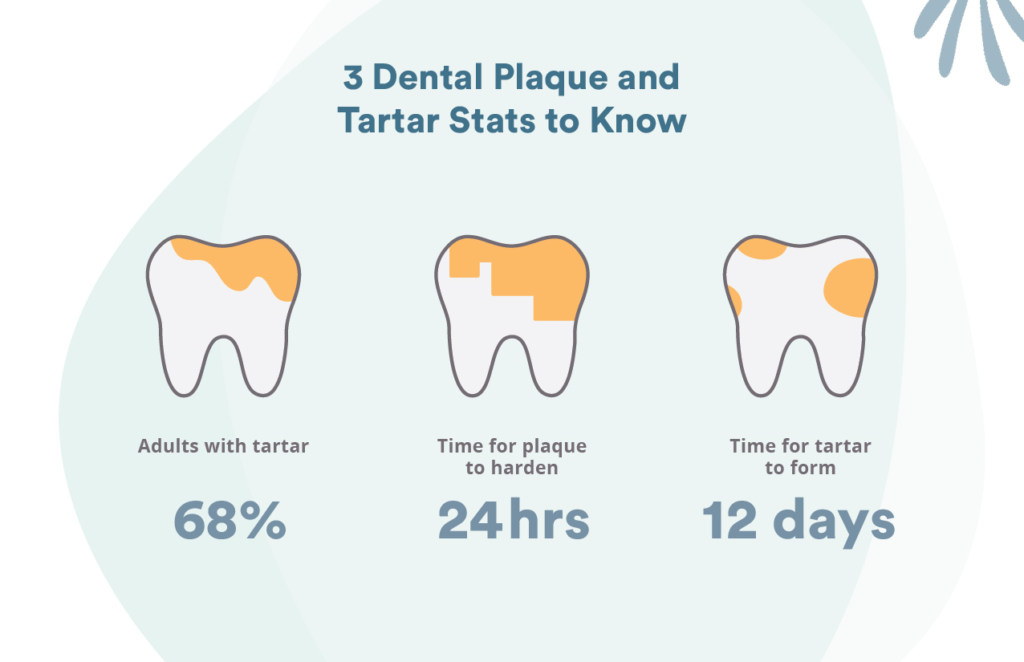 Both plaque and tartar buildup are common dental problems