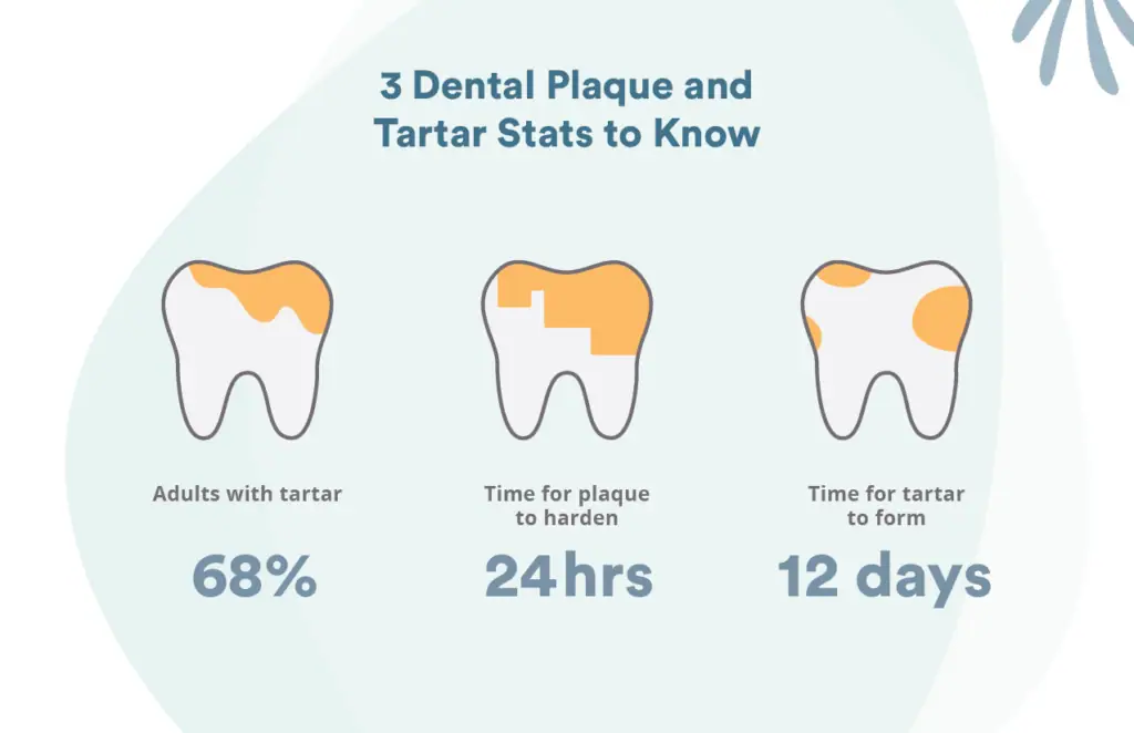 Types of plaque and tartar