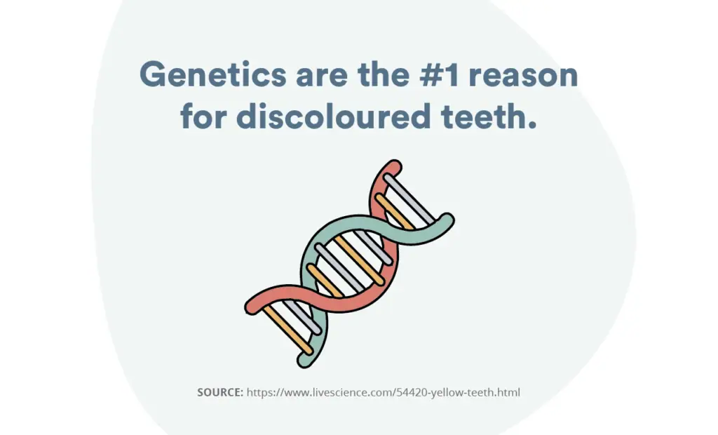 Genetics and tooth stains: get whiter teeth